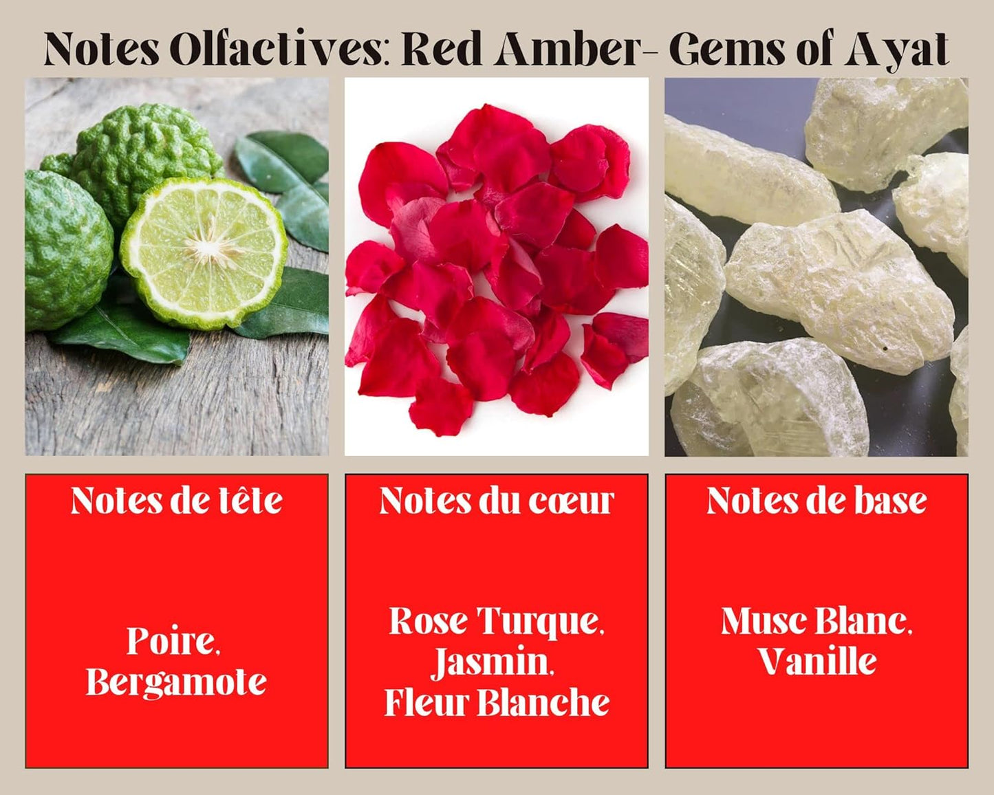 Ayat ✦ GEMS - Red Sapphire - 100 mL