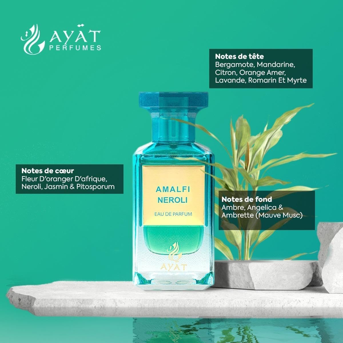 Ayat ✦ Amalfi Neroli – 80 mL