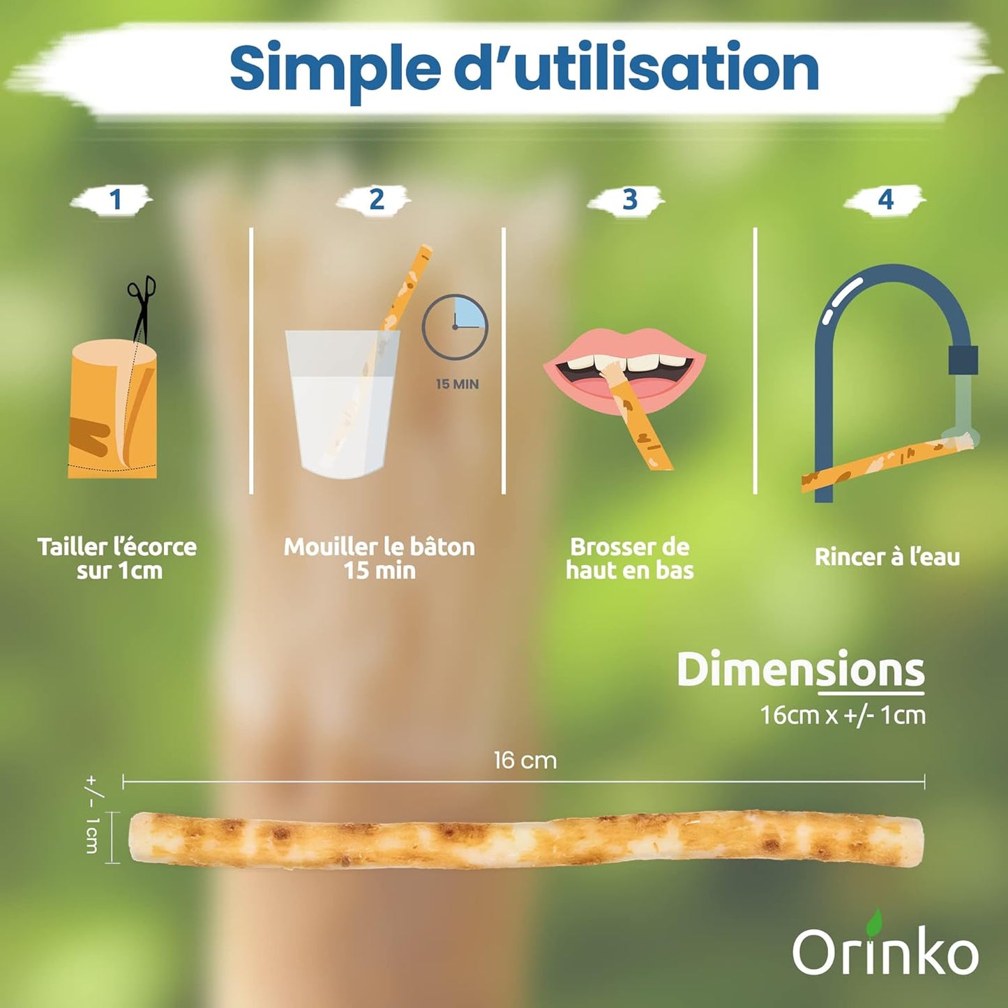 Miswak ✦ Étui De Protection – Siwak - Ebook Offert